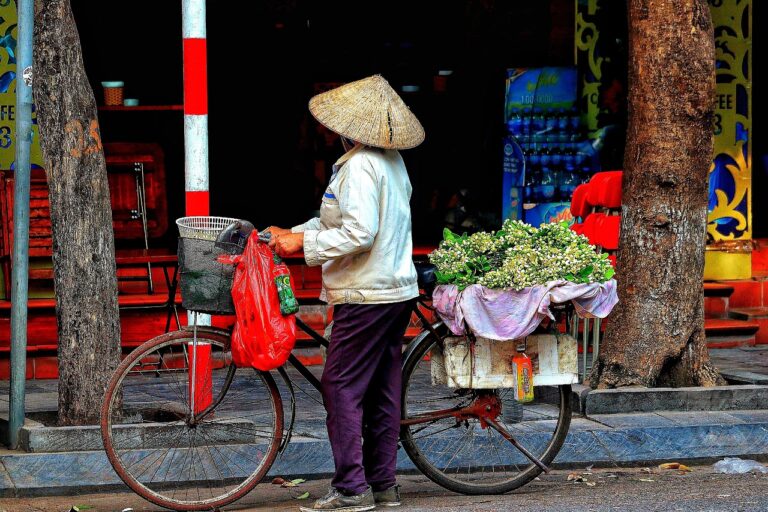 vietnam, flower background, hanoi-4873696.jpg